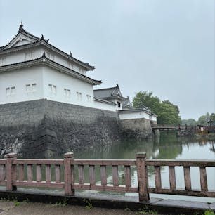 駿府城
めっちゃ雨降ってた思い出
#202505 #s静岡