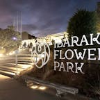 いばらきフラワーパ－クへイルミネーションを観に行って来ました。沢山の人でビックリしました。とても綺麗でした