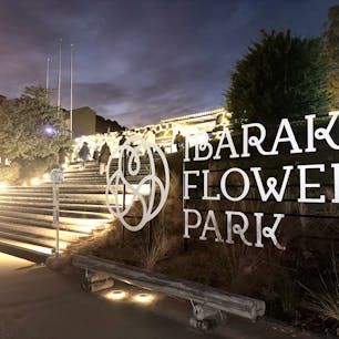 いばらきフラワーパ－クへイルミネーションを観に行って来ました。沢山の人でビックリしました。とても綺麗でした