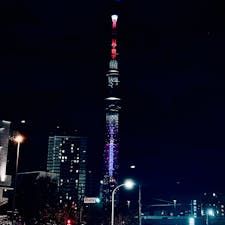 すごい綺麗だった