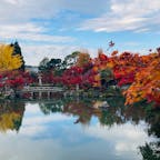 京都
永観堂
池にも紅葉と空