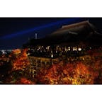 〈清水寺〉
言わずと知れた京都屈指の観光名所。
今やたどり着くのも一苦労ですが、紅葉🍁シーズンのライトアップは、一見の価値有りです。