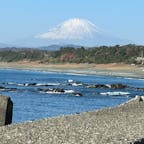雲一つない晴天
大磯海岸からの富士山