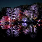 202511
福岡　石橋文化センター
光のミュージアム

音楽とレーザーとイルミネーションで
日本庭園が水鏡になってとても綺麗でした

寒かったけど、他のエリアも綺麗でした
また行きたいな