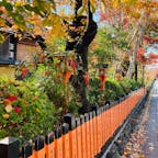 京都　祇園
白川南通

この街並みが好き