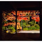 JR主催の夜間特別拝観
何とも言えない厳かな雰囲気に包まれていました。