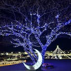 本庄  まリーゴールドの丘のイルミネーションに行って来ました