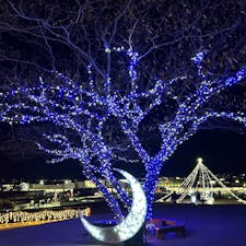 本庄  まリーゴールドの丘のイルミネーションに行って来ました