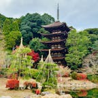 山口市
瑠璃光寺五重塔
雪吊りが、雅な趣を醸し出しているようです。