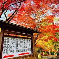 三井寺の紅葉🍁
国宝琵琶湖疏水船滋賀〜京都のうるわしきかな水の旅🚤