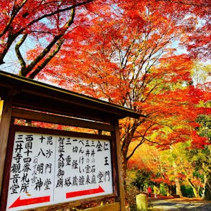 三井寺の紅葉🍁
国宝琵琶湖疏水船滋賀〜京都のうるわしきかな水の旅🚤