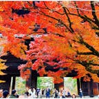 何度も訪れたくなる南禅寺🍁
