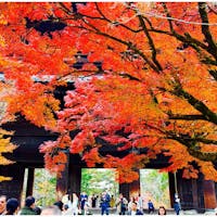 何度も訪れたくなる南禅寺🍁