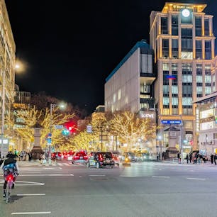 この時期は一層華やかになるケヤキ並木。
キラキラした世界が広がっています。