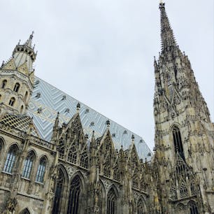 ウィーンの象徴
繊細な彫刻が施されたゴシック建築が美しいです