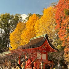 京都府京都市上京区
北野天満宮 地主神社
2025 12.2

北野天満宮の本殿裏手にある地主神社。
銀杏の木と赤い建物がマッチして、
とても美しい風景を作り出しています。