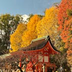京都府京都市上京区
北野天満宮 地主神社
2025 12.2
北野天満宮の本殿裏手にある地主神社。
銀杏の木と赤い建物がマッチして、
とても美しい風景を作り出しています。
