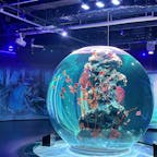 神戸ポートミュージアムatoaは、球体水槽やレーザーパフォーマンス、アートと融合したアクアリウムです。
広々空間のフードホールも好きなものが和洋中チョイスできて美味しかったです。
#兵庫県 #神戸市 #神戸ポートミュージアムatoa