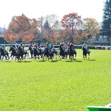 テレビドラマ「ロイヤルファミリー」に感動して福島競馬場へ。

生まれて初めての競馬場は驚きがいっぱいで楽しかったです。

#福島県 #福島市 #福島競馬場