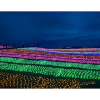 マザー牧場のイルミネーション✨

光の花畑やイルミネーションを活かしたフォトスポットが数多くあって、楽しみながら巡れます⭐️

ワンチャンもたくさん訪れていて、キレイ＆可愛い写真がいっぱい撮れそうでした☺️