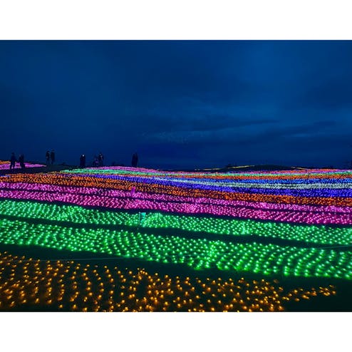 マザー牧場イルミネーション 光の花園