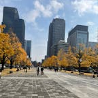 紅葉が綺麗でした🍁