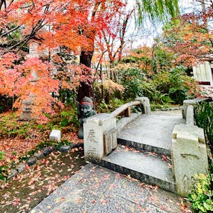 京都市
晴明神社
安倍晴明とも縁深い一条戻橋は、平成7年に架け替えられ、現在も晴明神社から南へ100メートルのところにありますが、境内には先代の欄干の親柱を移した「一條戻橋」が再現されており、式神さんもいます。