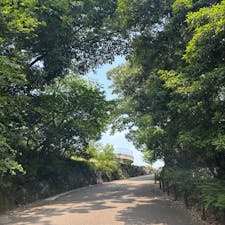 東山植物園
初夏ver. 年パスだからこその楽しみ
#202507 #s愛知