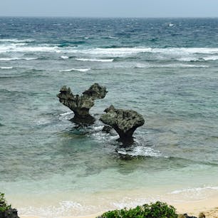 サトウキビ畑を抜けていくような海岸ですが、大型バスで団体が来るような観光地のようです。