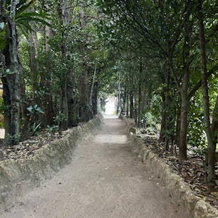 思ったよりも長い小道で、人懐っこい猫がいます。