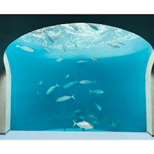 香川
四国水族館

水族館は楽しい