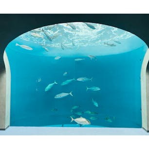 香川
四国水族館

水族館は楽しい