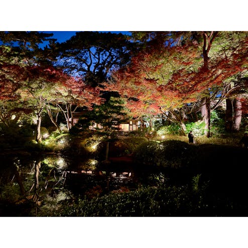 東京都庭園美術館