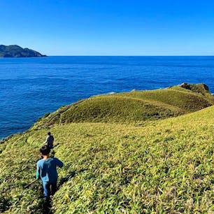 奄美大島
宮古崎での雄大な景色に圧倒されました。
鹿児島
桜島をフェリーから望む
奄美大島
マングローブ林にて