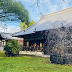 京都
青蓮院門跡

紅葉の時期に
訪れました