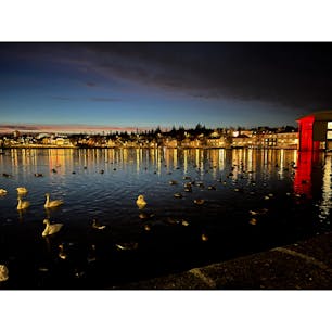 チョルトニン湖
首都レイキャビクにある湖。