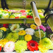 原宿にある東郷神社へ初詣に。
子供が欲しがっていたサンリオお守りを購入。どれも可愛くて自分の分も買ってしまったー！！！