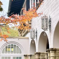 アサヒビール大山崎山荘美術館
設計：安藤忠雄（増設部分）

かつての山荘を活かした美術館
モネの｢睡蓮（連作）｣を観ることができる
紅葉の時期の写真🍁