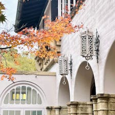 アサヒビール大山崎山荘美術館
設計：安藤忠雄（増設部分）

かつての山荘を活かした美術館
モネの｢睡蓮（連作）｣を観ることができる
紅葉の時期の写真🍁