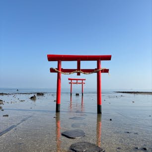 202601
佐賀　太良町
海中鳥居　大魚神社

今回3回目
1回目は一番先まで歩いて行けて
2回目は30年に一度の建て替え時期で
白木の鳥居
今回はここまでしか行けなかった

満潮時に見たいんだけど、なかなかタイミングが合わない