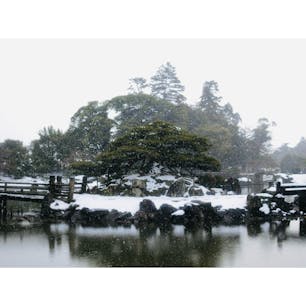 2026 1.31
滋賀県彦根市
雪景色を見に玄宮園に行ってきました！
彦根市に着いたあたりで雪が降ってきて不安になりましたが、庭園はまだ雪残ってました。
雪が降ってるせいか、人が少なかったです。
この庭園からは彦根城天守閣が見えて、その天守閣と庭園のコラボレーションが素晴らしい！
新しく買ったカメラは光学ズーム10.7倍、デジタルズーム4倍、合計42.8倍ズーム可能なので、この庭園から見える彦根城天守閣を画面いっぱいに写せました！（写真5枚目）
スマホじゃできないことができて楽しい😆

彦根城は行ったことあるので庭園だけ見て帰りました。
あ、あと、プロフィールの誕生日が間違っていたので修正しました。他の人から見えるのか知らないけど...


あれ？なんか比良山の雲が晴れてきたぞ...？　　次回に続く...  （アニメみたいでなんかいいな...）
#庭園 #城 #滋賀 #雪景色