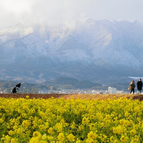 守山市第一なぎさ公園
