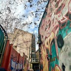 スペイン
サラゴサ
バル通り
シエスタの時間で、閉まっているバルも多かったのですが、夜はおそ〜くまで大変賑やかになるようですね。