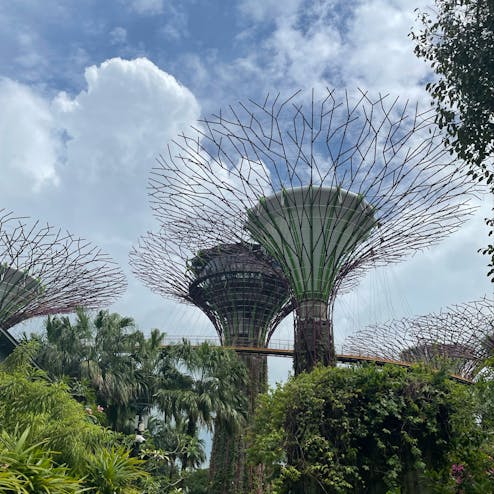 ガーデンズ・バイ・ザ・ベイ