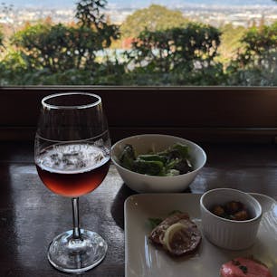 202602
福岡　田主丸
森のレストラン　ホイリゲ

耳納連山を少し登り森の中に入ると見えてきます
生ワインなども飲むことができます
店内は大きな窓があり、田主丸の街を意味眺めながら
食事することができます
窓際の席はいつも埋まっているのですが
この日はラッキーな事にあいていました