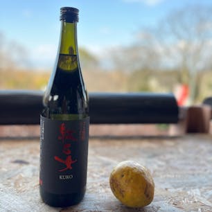 202602
福岡　田主丸
紅乙女酒造

胡麻焼酎の紅乙女
こちらでは試飲もできます
昔はとても賑わっていたイメージなのですが
現在はすこしさみしい感じでした
時折、観光バスが来ていました