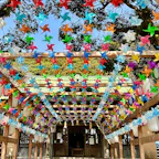 山口県
宇部護国神社
境内にはたくさんの風車が飾られており、風車には世の中が良くまわるようにという願いも込められているようです。