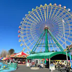 【華蔵寺公園】in群馬県伊勢崎市

群馬育ちなら絶対に遊びにくる入場料金のかからない遊園地🎡✨
乗り物チケットも1枚70円だから家族みんなで楽しめる✨
桜の時期もオススメ🌸

2026.1.4🎡