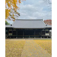 【長久寺】in埼玉県行田市

大きな銀杏の木が３本もあり圧巻です🍂
ちょうどイチョウの葉の絨毯が✨
この時期にはぜひお散歩がオススメ✨
まるで映画の舞台のようでした！！

2025.11.18🍁