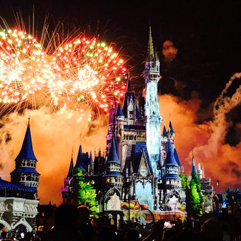 ディズニー マジックキングダム パーク